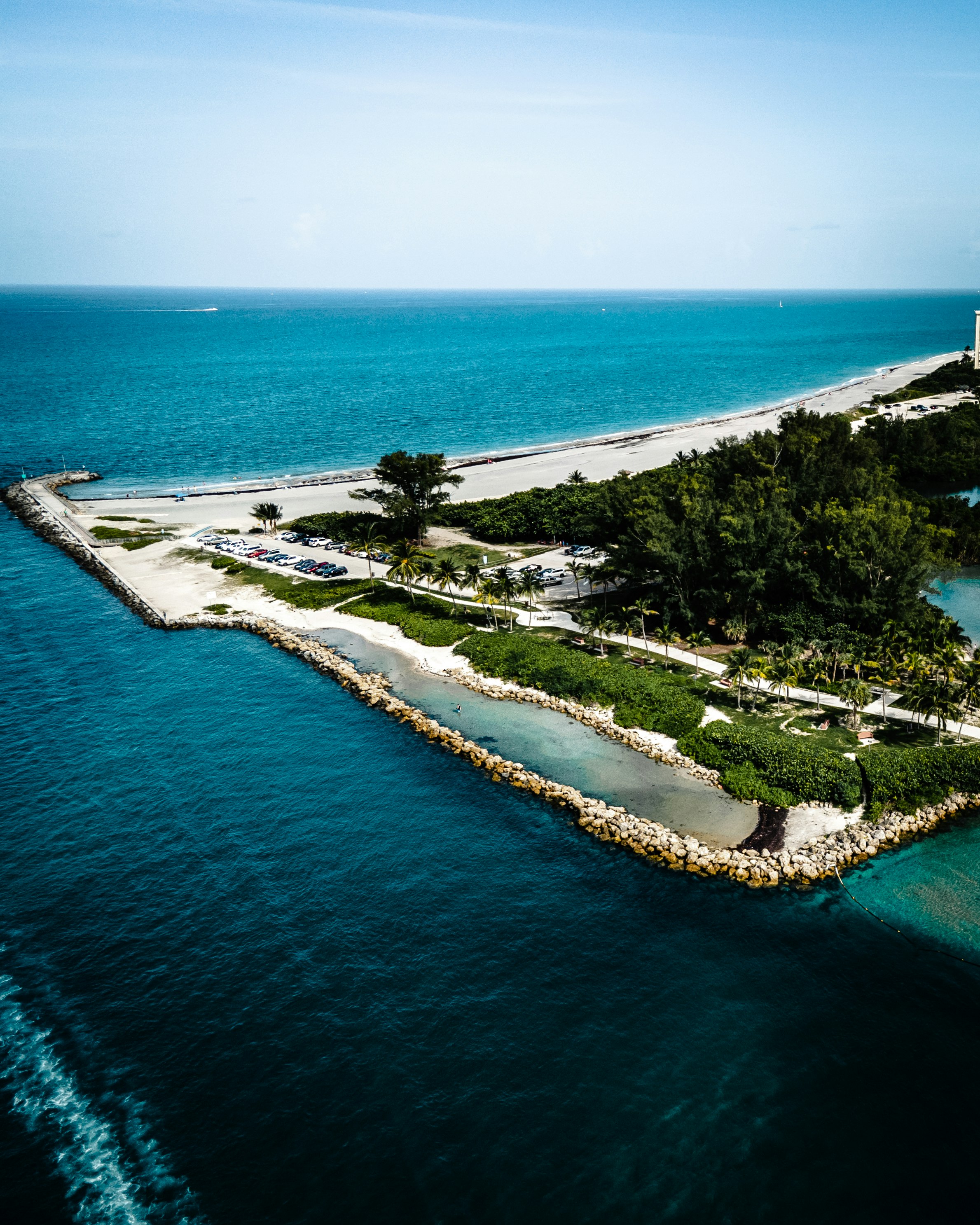 aerial view of green trees near body of water during daytime